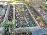 image number HAE 202
